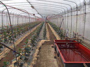 11-0421 008.JPG