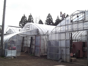 11-0421 022.JPG
