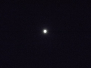 moon 1.JPG