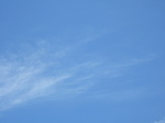 t1.JPG